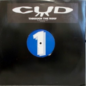 Through The Roof Image