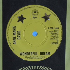 Wonderful Dream Image
