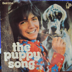 Daydreamer / The Puppy Song Image