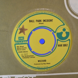 Ball Park Incident Image