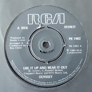 Use It Up And Wear It Out Image