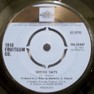 Simon Says Image