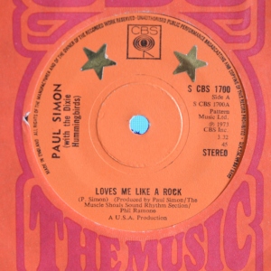 Loves Me Like A Rock Image