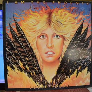 I Am The Phoenix Image
