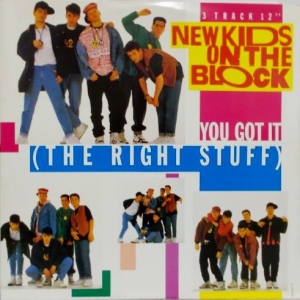 You Got It (The Right Stuff) Image