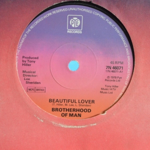 Beautiful Lover Image