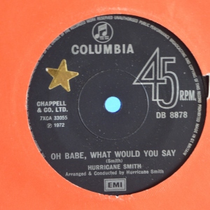 Oh Babe, What Would You Say Image