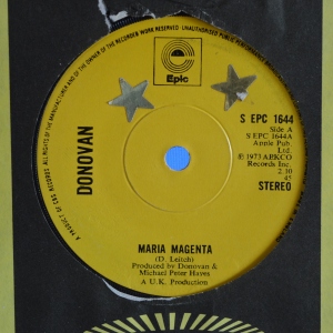 Maria Magenta Image