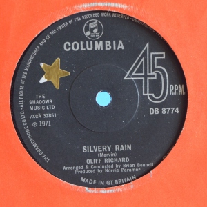 Silvery Rain Image