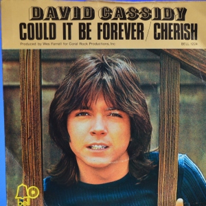 Could It Be Forever / Cherish Image