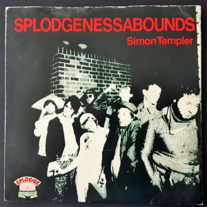 Simon Templer Image