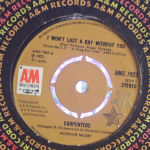 I Won't Last A Day Without You / Goodbye To Love Image
