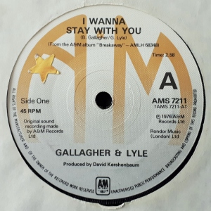 I Wanna Stay With You Image