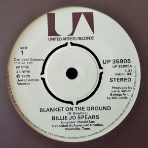 Blanket On The Ground Image