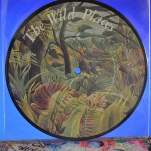 The Wild Places Image