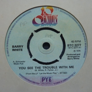 You See The Trouble With Me Image