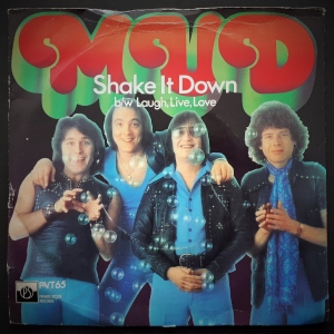 Shake It Down Image