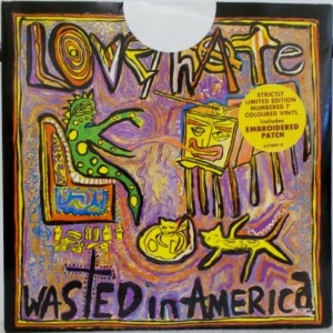 Wasted in America Image