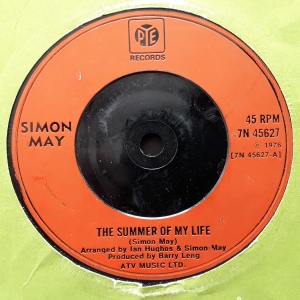 The Summer Of My Life Image