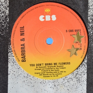 You Don't Bring Me Flowers Image