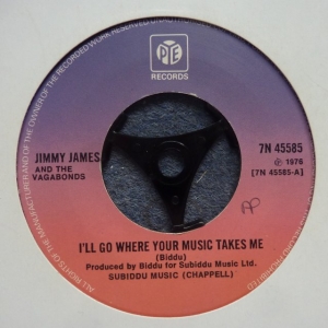 I'll Go Where Your Music Takes Me Image