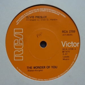 The Wonder Of You Image