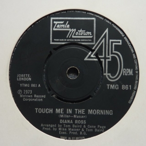 Touch Me In The Morning Image
