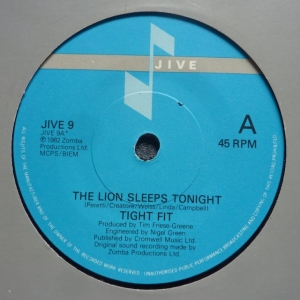 The Lion Sleeps Tonight Image