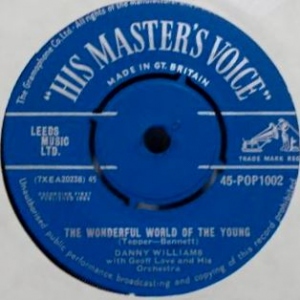 The Wonderful World Of The Young Image