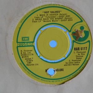 Hot Valves EP Image