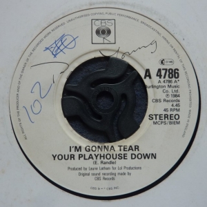 I'm Gonna Tear Your Playhouse Down Image