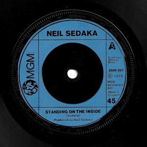 Standing On The Inside Image