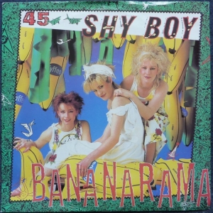 Shy Boy Image