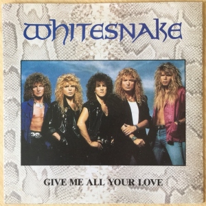 Give Me All Your Love Image
