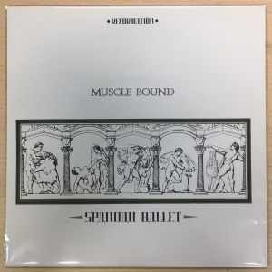 Muscle Bound Image