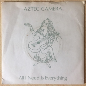 All I Need Is Everything Image