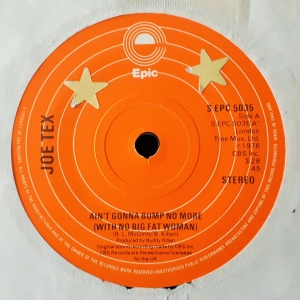 Ain't Gonna Bump No More (With No Big Fat Woman) Image