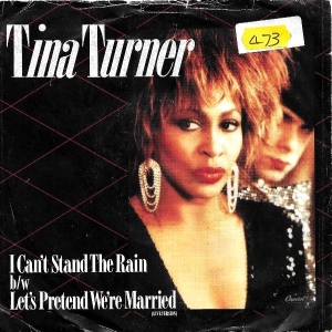 I Can't Stand The Rain Image