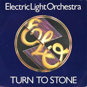 Turn To Stone Image