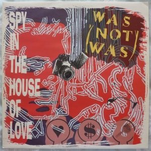 Spy In The House Of Love Image