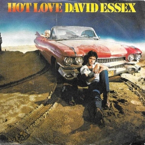 Hot Love Image