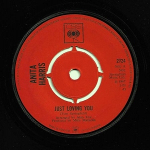Just Loving You Image
