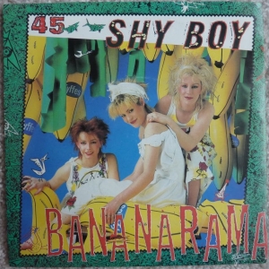 Shy Boy Image