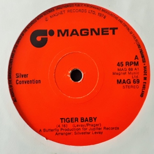 Tiger Baby Image