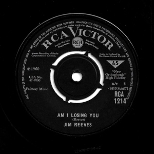 Am I Losing You Image