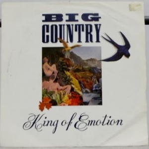 King Of Emotion Image