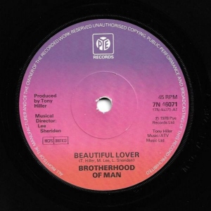 Beautiful Lover Image