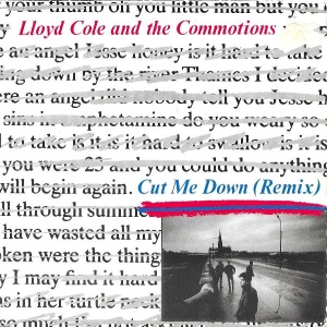 Cut Me Down (Remix) Image