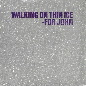 Walking On Thin Ice Image