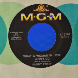 What A Woman In Love Won't Do Image